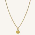 ROSEFIELD JPNSCG-J268