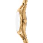 ⁦DK1L017M0055 שעון יד לאישה דונה קארן DKNY, אחריות יבואן רשמי⁩ – תמונה ⁦3⁩