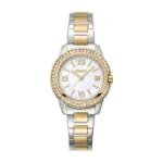 DK1L105M0085 שעון יד לאישה דונה קארן DKNY, אחריות יבואן רשמי