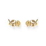 Thomas Sabo H2314-413-39 , עגילים צמודים מצופים זהב